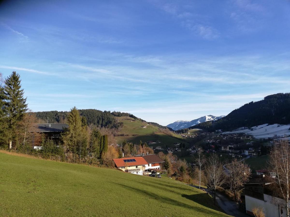 Apartment Sole Niederau